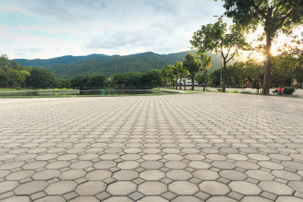Best Driveway Pavers Near Me  in Cambridge, MN